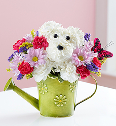 Playful Pup Flower Power, Florist Davenport FL