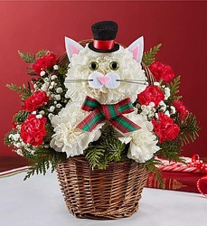 Christmas Caroling Cat Flower Power, Florist Davenport FL