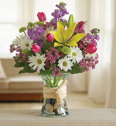 March Special 1