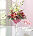 Stargazer Cosmopolitan