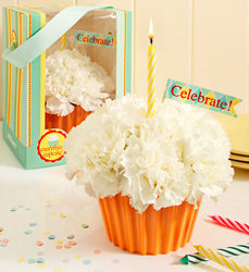 Cupcake in Bloom