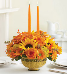 Fall Autumn Elegance