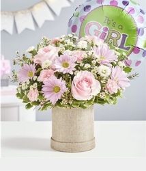 Welcome Baby Girl Flower Power, Florist Davenport FL