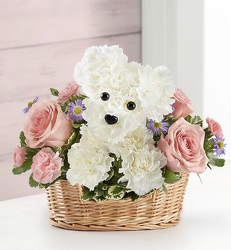 Precious Pup Flower Power, Florist Davenport FL