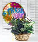 Thank You Dish Garden