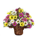Daisy Basket