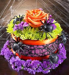 Itsy Bitsy Spider Flower Cake Flower Power, Florist Davenport FL