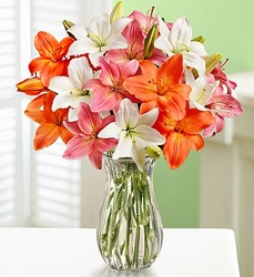 Lily Special Flower Power, Florist Davenport FL