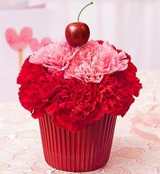 Cupcake in Bloom - Cherry Flower Power, Florist Davenport FL
