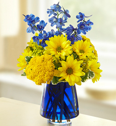 Blue to Cheer You Flower Power, Florist Davenport FL