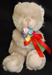 Medium Bear