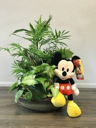 Mickey's Planter Flower Power, Florist Davenport FL