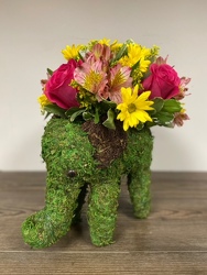 Nellie the Elephant Flower Power, Florist Davenport FL