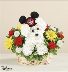 Disney's Mickey Mouse Club Pup Flower Power, Florist Davenport FL