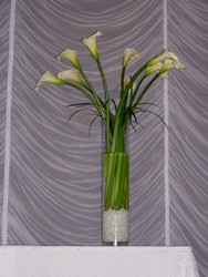 Tall Calla 