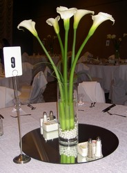 Calla Lillies 