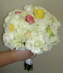 Pastel Hydrangea 