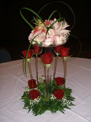 Rose Elegance 