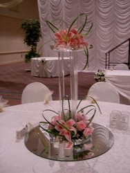 Stargazer Elegance Flower Power, Florist Davenport FL