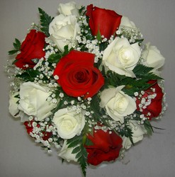 Red and White Roses 