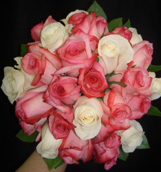 White and Pink Roses 