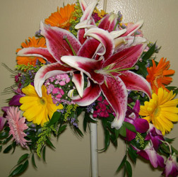 Tropical Crescent Flower Power, Florist Davenport FL