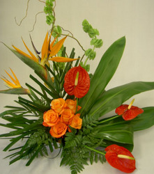Totally Tropical Flower Power, Florist Davenport FL