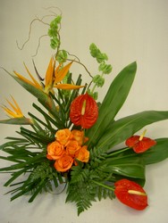 Totally Tropical 