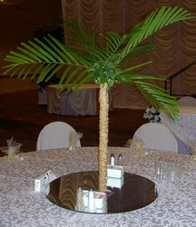 Palm Trees 