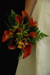 Mango Mini Calla 