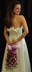 Opulent Orchids 