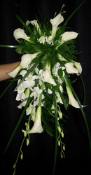 Cascading Calla 