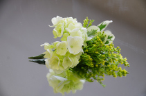Sunshine Hydrangea Boutt