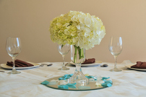 Pedestal Hydrangea