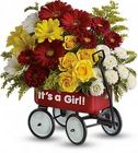 /images/T97N400Blg.jpg Baby's Wow Wagon - GIRL
