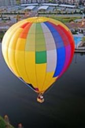 Balloon And Flowers