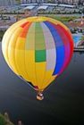 Balloon And Flowers