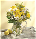 Make Lemonade in a Pitcher