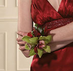 Orchid Corsage