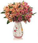 Alstromeria in Laura Ashley designed vase