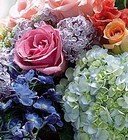 /images/image002lg.jpg Designers Choice Arrangement