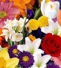 Florist Designed Bouquet 