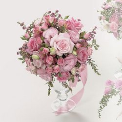 Perfect Pinks 