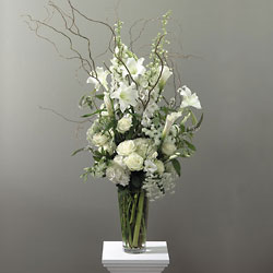 Contemporary White Vase Flower Power, Florist Davenport FL