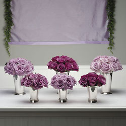 Lavender Luxury 