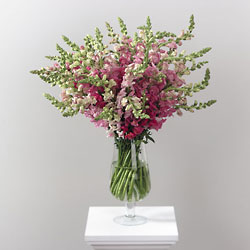 Lavender Pedestal Arrangement 