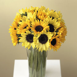 Sunflower Surprise Flower Power, Florist Davenport FL