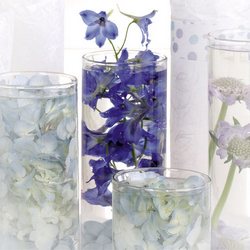 Tall Blue Blooms 