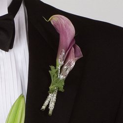 Mini Calla Boutt 