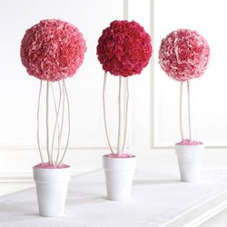 Pink Topiary 